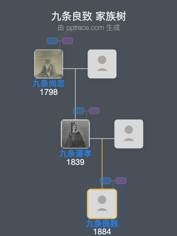 九条良致家族树全览