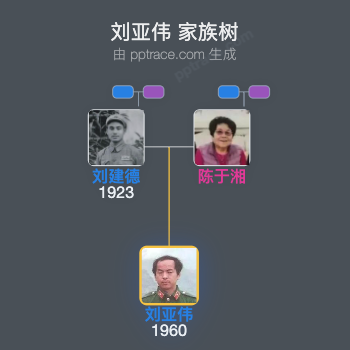 刘亚伟 家族树全览