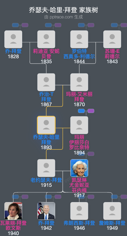 乔瑟夫·哈里·拜登家族树全览