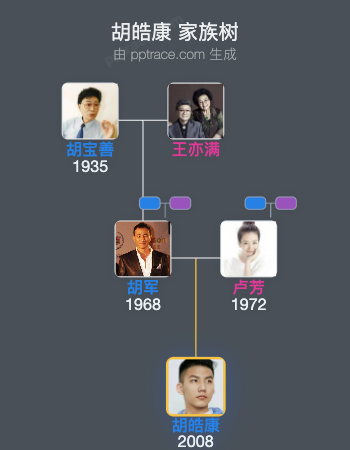 胡皓康 家族树全览