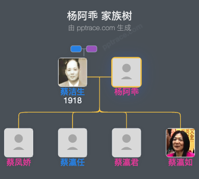 杨阿乖家族树全览