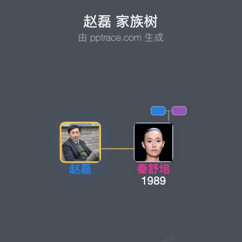 赵磊 家族树全览