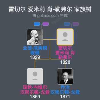 雷切尔 爱米莉 肖-勒弗尔家族树全览