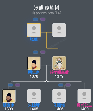 张麒家族树全览