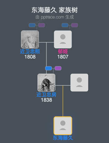东海藤久家族树全览