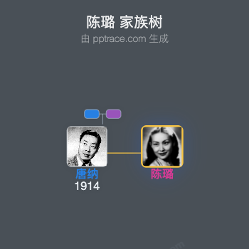 陈璐 家族树全览