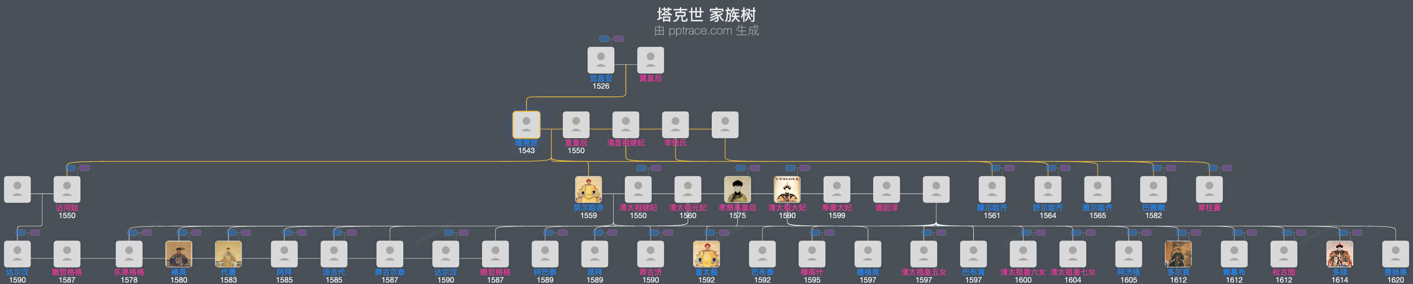 塔克世家族树全览