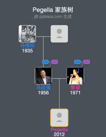 Pegella 家族树全览