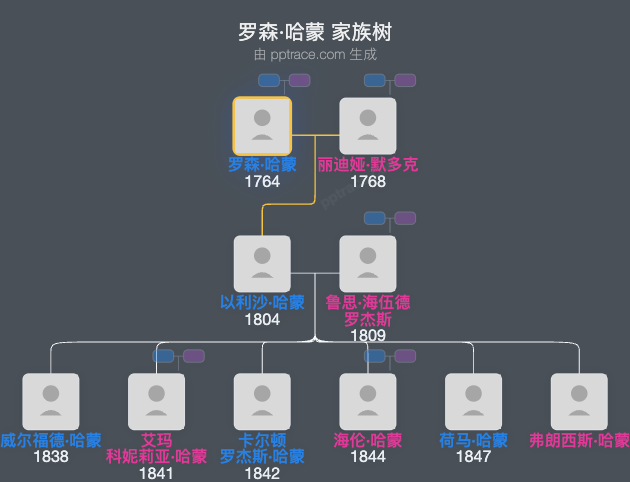 罗森·哈蒙家族树全览