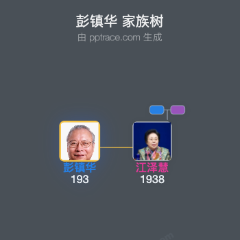 彭镇华 家族树全览