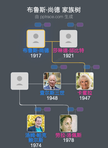 布鲁斯·尚德 家族树全览