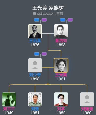 王光美 家族树全览