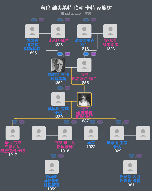 海伦·维奥莱特·伯翰·卡特家族树全览