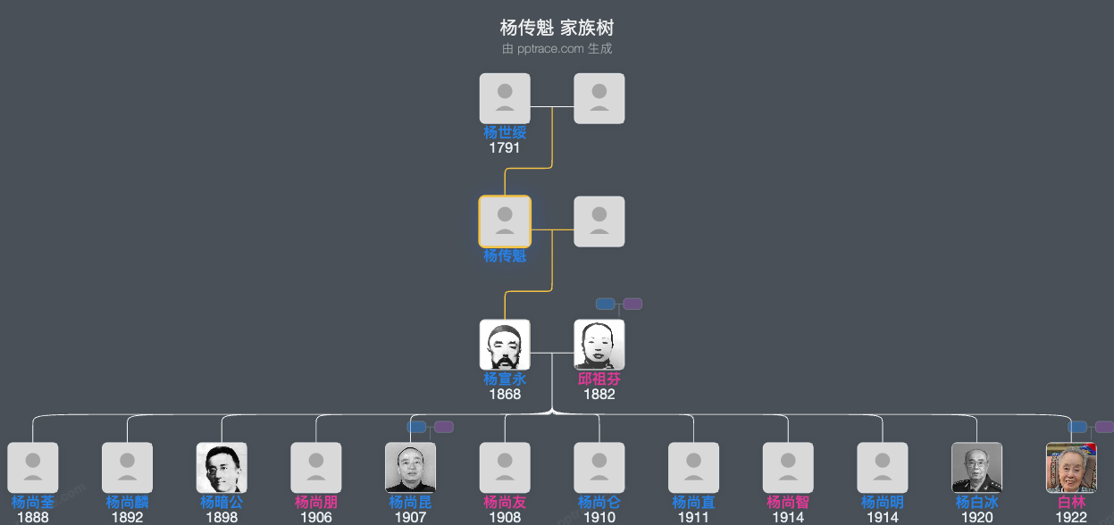 杨传魁 家族树全览