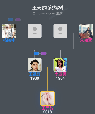 王天韵 家族树全览