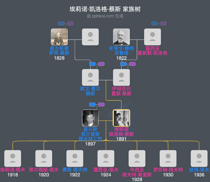 埃莉诺·凯洛格·蔡斯家族树全览