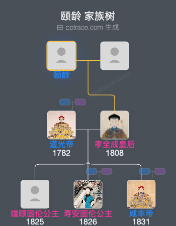 颐龄家族树全览