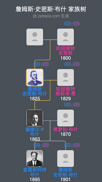 詹姆斯·史密斯·布什家族树全览