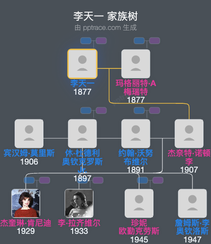 李天一家族树全览