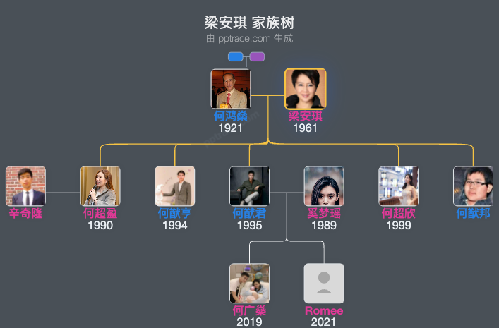 梁安琪 家族树全览