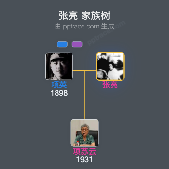 张亮 家族树全览