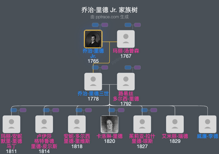 乔治·里德 Jr.家族树全览