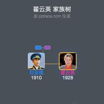 翟云英 家族树全览