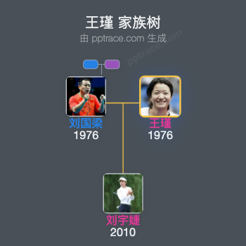 王瑾家族树全览