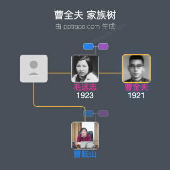 曹全夫 家族树全览