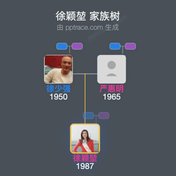 徐颖堃 家族树全览