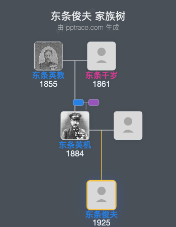东条俊夫家族树全览