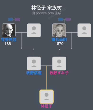 林径子家族树全览