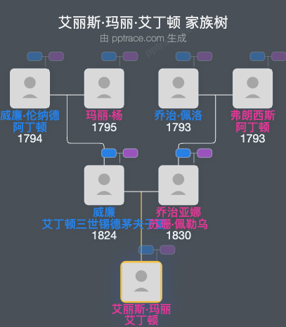艾丽斯·玛丽·艾丁顿家族树全览