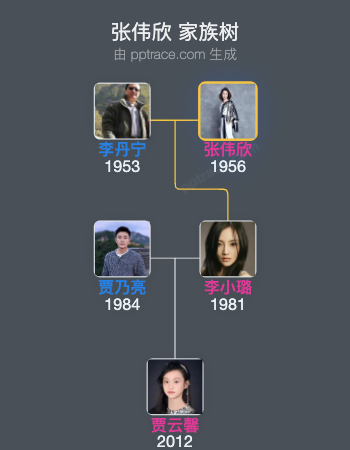 张伟欣家族树全览