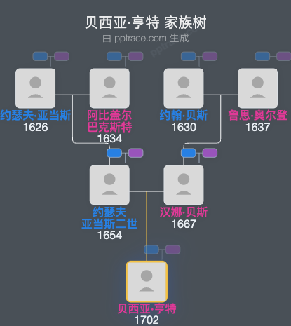贝西亚·亨特家族树全览