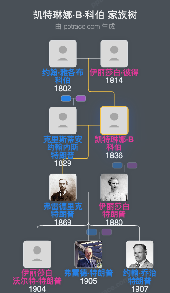 凯特琳娜·B·科伯家族树全览