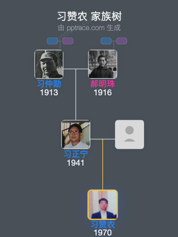 习赞农 家族树全览
