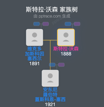 斯特拉·沃森家族树全览