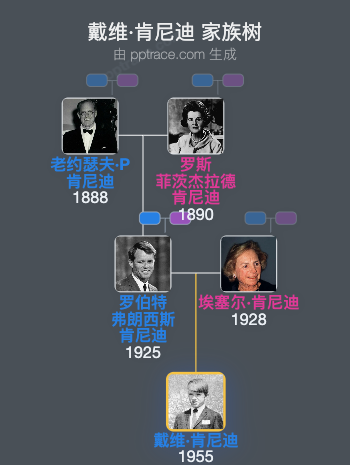 戴维·肯尼迪家族树全览