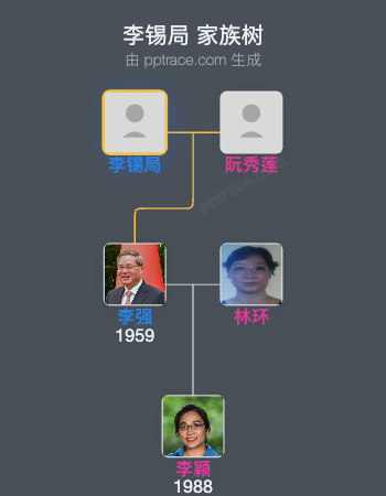 李锡局 家族树全览