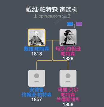 戴维·帕特森家族树全览