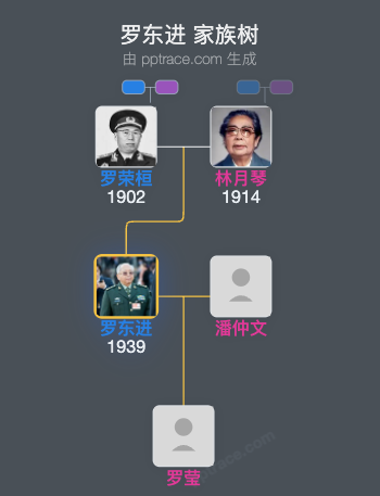 罗东进 家族树全览