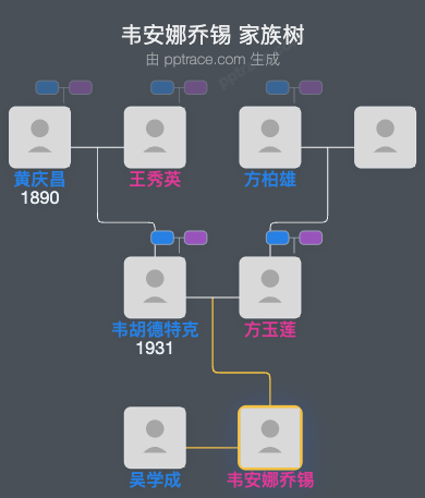 韦安娜乔锡 家族树全览