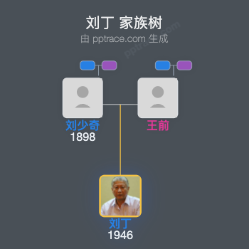 刘丁 家族树全览