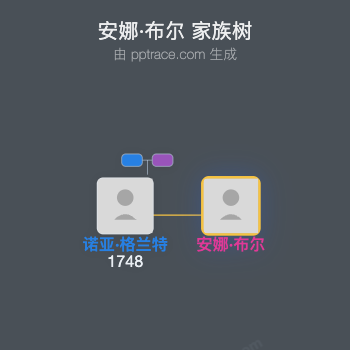 安娜·布尔家族树全览