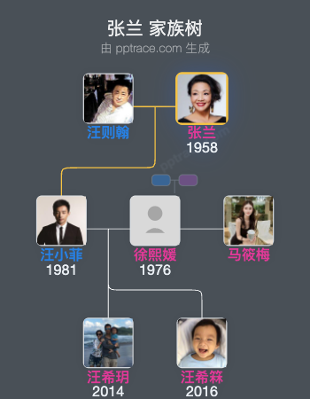 张兰 家族树全览