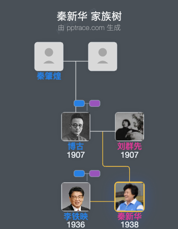 秦新华 家族树全览