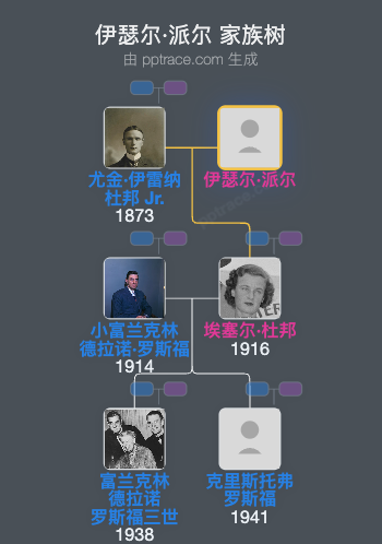 伊瑟尔·派尔家族树全览