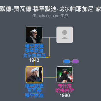 穆罕默德-贾瓦德·穆罕默迪·戈尔帕耶加尼家族树全览