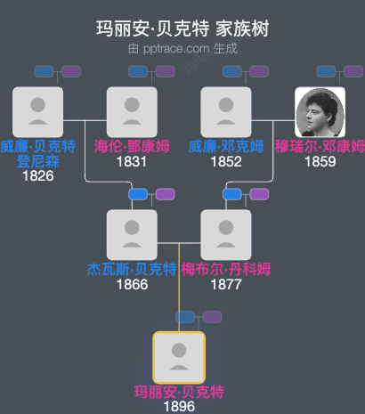 玛丽安·贝克特家族树全览